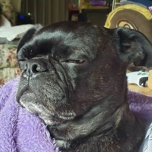 Meet your Posher, Justin